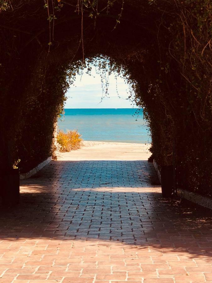 Las Terrazas - Primera Linea De Playa Con Netflix, Disney, Movistar Con Todo El Futbol, Series, Cine Y Prime Video Oropesa del Mar Exteriér fotografie